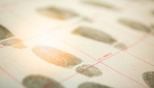 How to defend a fraud crime