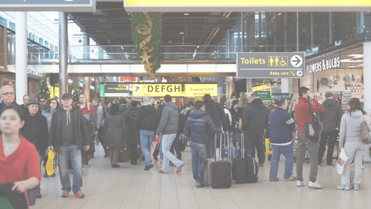 TSA guidelines for firearms and ammunition